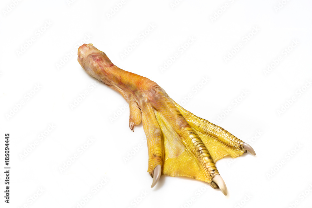 raw duck feet on white background raw duck feet on white background