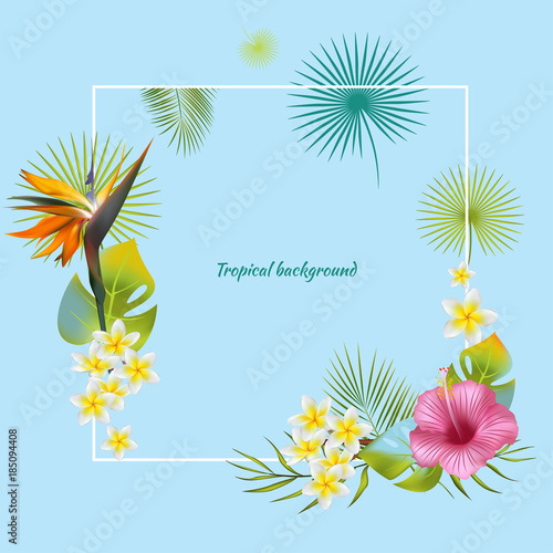 Tropical background. Flowers. Exotic plants. Palm leaves. Frame. Vector background. Plumeria. Hibiscus.