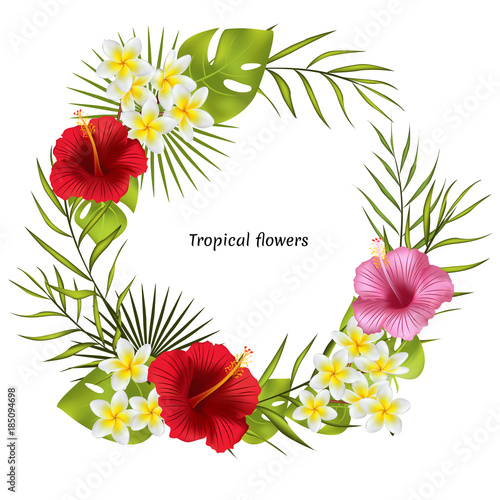 Tropical background. Flowers. Exotic plants. Palm leaves. Frame. Vector background. Plumeria. Hibiscus.