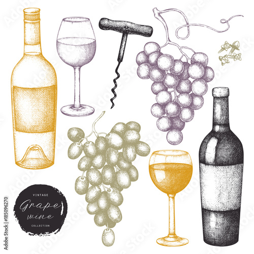 Vintage grape wine set.  Vector illustration with wine glass, grapes, bottle. Hand drawn alcoholic drink sketch on white background.