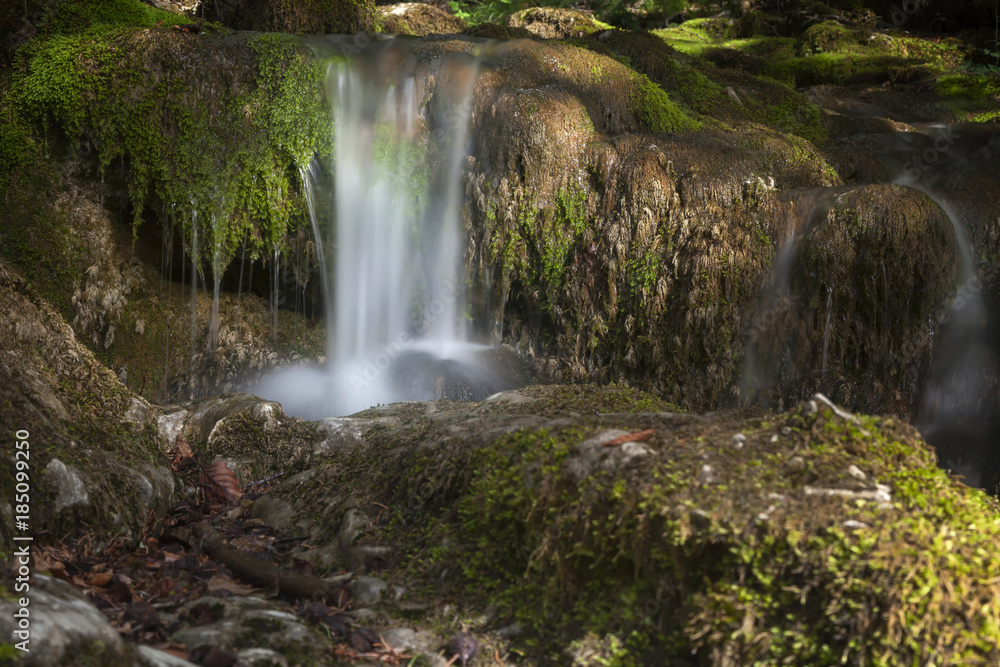 Obraz premium Quelle im Wald
