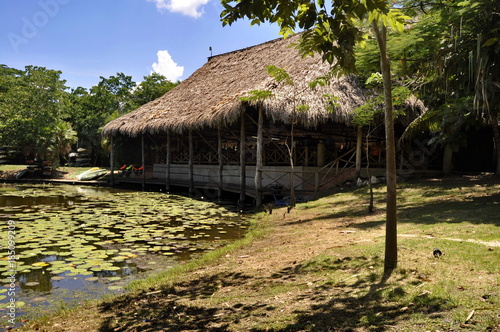 Wooden House by the Pond in Belize 