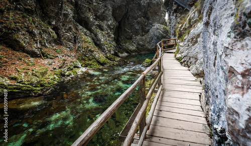Soteska Vintgar  The Vintgar Gorge or Bled Gorge in Slovenia.