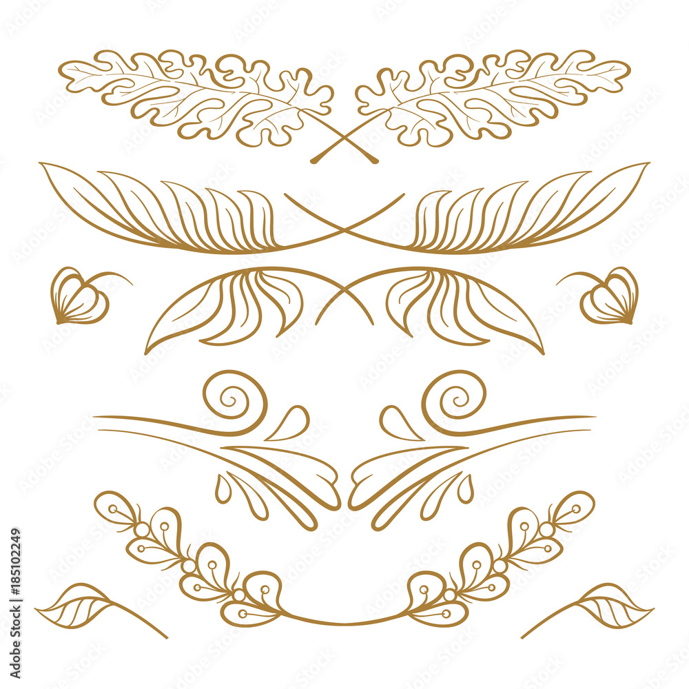 Vector hand drawn floral elements set. Vector hand drawn floral elements set.