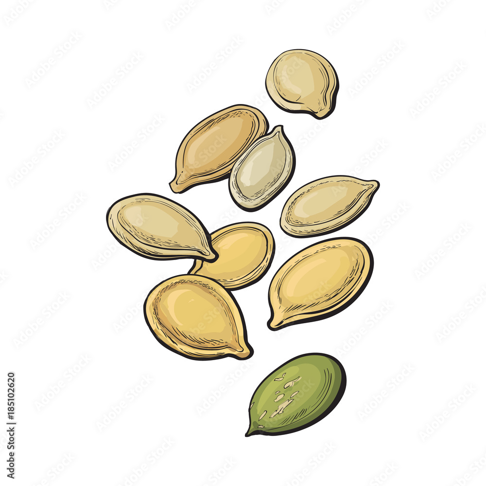 Hand planting seeds drawn sketch icon Royalty Free Vector