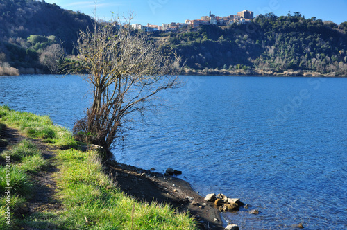 Albero su sponda del Lago di Nemi, in inverno. Genoano sullo sfondo. Provincia di Roma, Castelli Romani, Lazio, Italia. photo