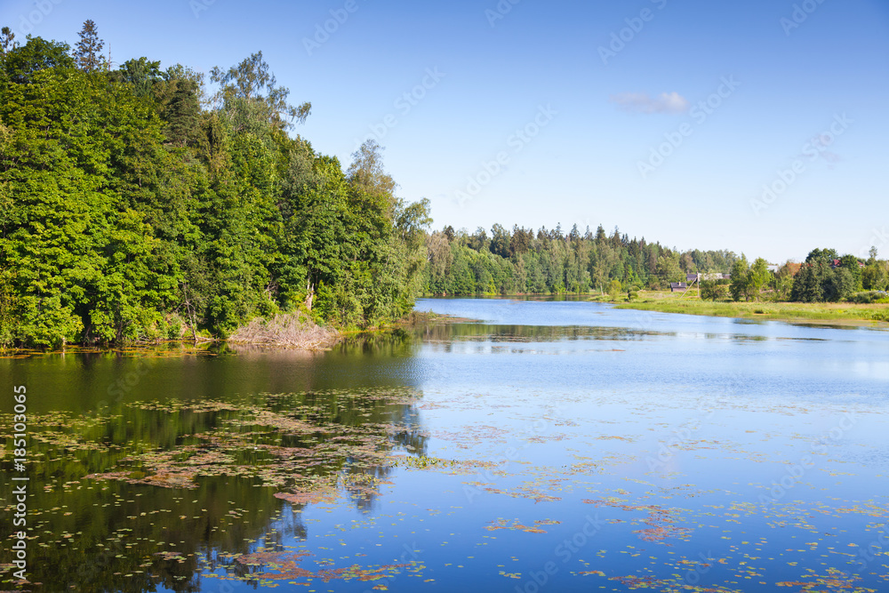 Oredezh River, summer landscape. Russia