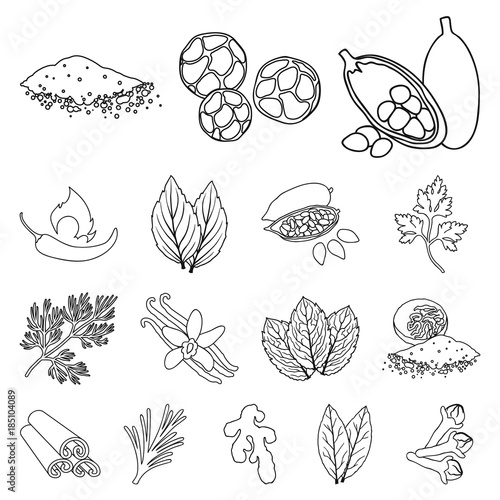 Herb and spices outline icons in set collection for design.Different kinds of seasonings vector symbol stock web illustration.