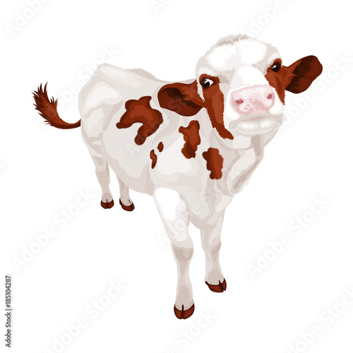 Little white cow with red spots. Vector illustration
