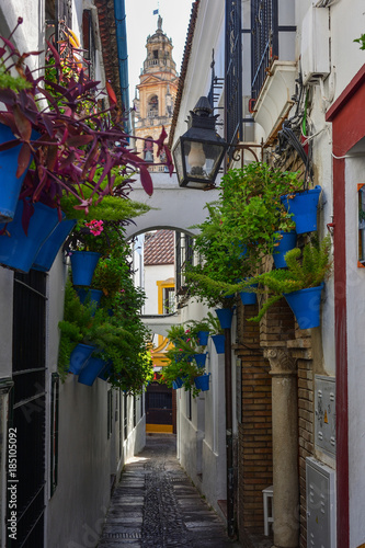 Fototapeta Naklejka Na Ścianę i Meble -  Spain Andalusia Cordoba