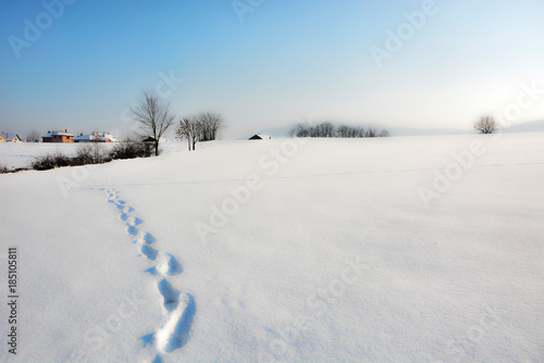 Winter landscape with snow © predrag