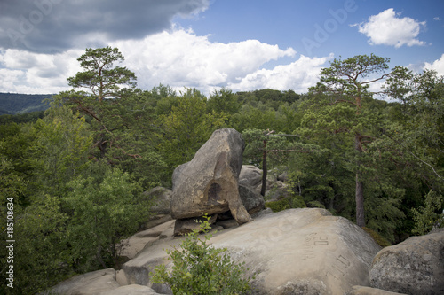 A large boulder resembling an elephant on top of a rock among tall pine trees against the backdrop of a beautiful view of a densely overgrown spruce forest and sky