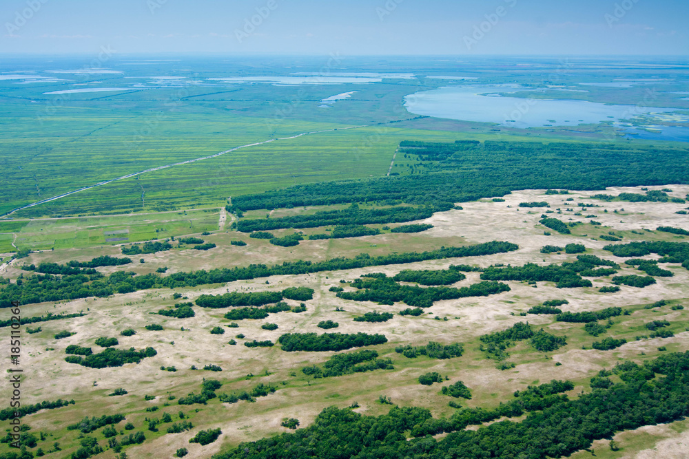 Aerial View Over Letea Forest in the Danube Delta, Romania