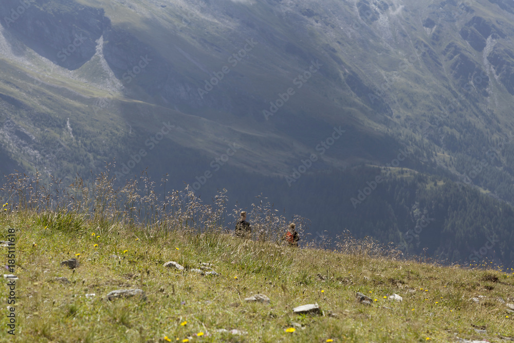 Fototapeta premium Landschaft in Kärnten