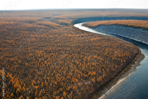Siberian larch taiga and the river fall from a helicopter