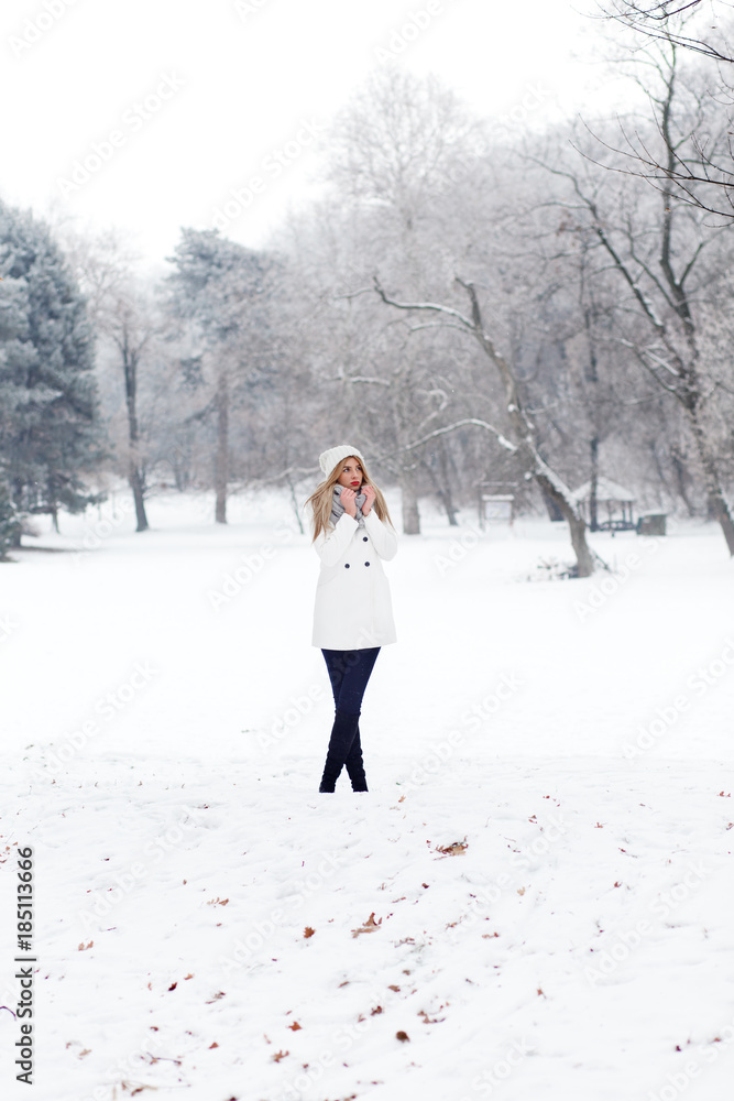 Winter portrait of beautiful blonde young woman in park. Winter portrait of beautiful blonde young woman in park.