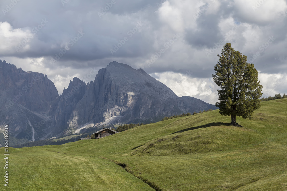 Landschaft in Südtirol