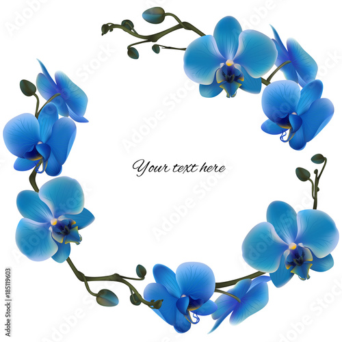 Orchid. Tropical flowers. Floral vector background. Blue. Frame. Wreath. Border.