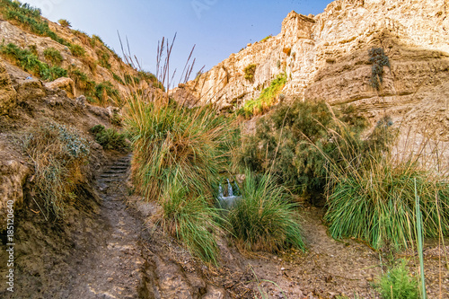 Waterfall at Ein Gedi Nature Reserve, Israel. photo