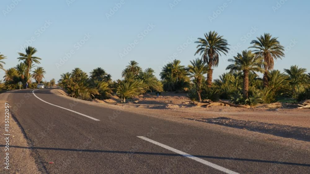 Palm trees along the road in Maroccan oasis valley Palm trees along the road in Maroccan oasis valley