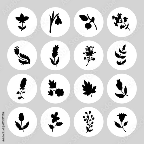Leaves and flowers icons set. It can be used as - logo, pictogram, icon, infographic element.