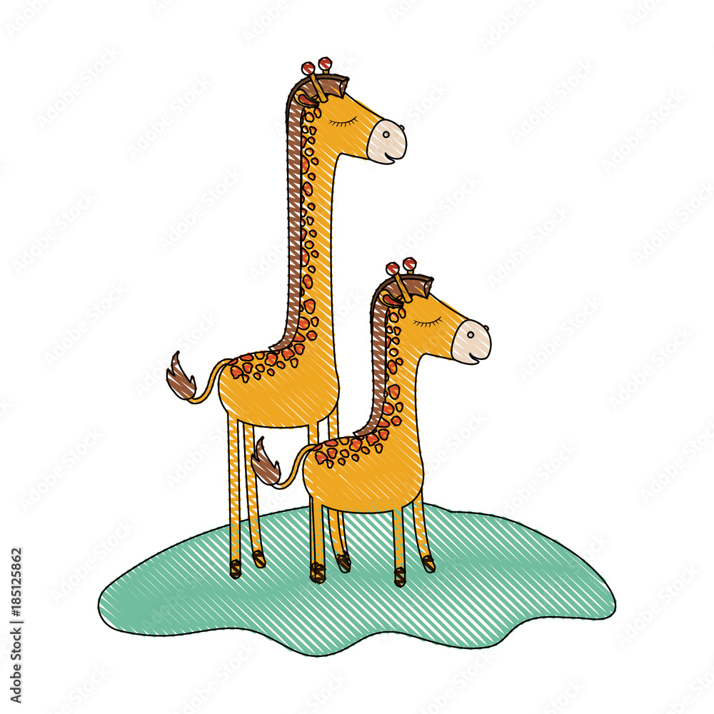 cartoon giraffe mom with calf over grass in colored crayon silhouette cartoon giraffe mom with calf over grass in colored crayon silhouette