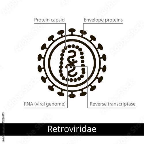 Retroviridae. Classification of viruses.