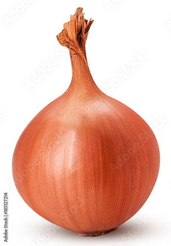 Yellow onion bulb