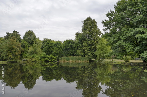 Forest, lake with reflection, reed and water lily in National monument of landscape architecture Park museum Vrana in former time royal palace on the outskirts of Sofia, Bulgaria, Europe 