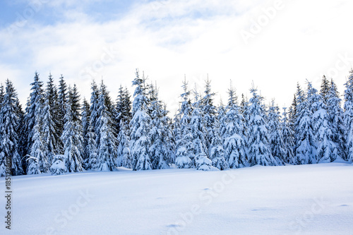 Winter scenery with snow © Edler von Rabenstein