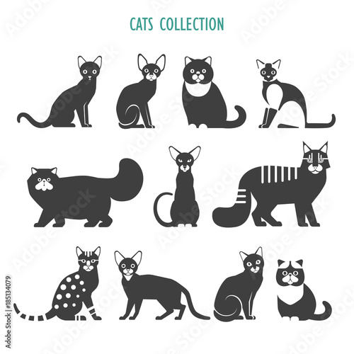 Fototapeta Naklejka Na Ścianę i Meble -  Cats icons collection. Vector collection of different cats breeds - havana brown, British Shorthair, Siamese, Maine Coon, Persian, Bengal, Abyssinian, Russian Blue, Exotic, isolated on white.
