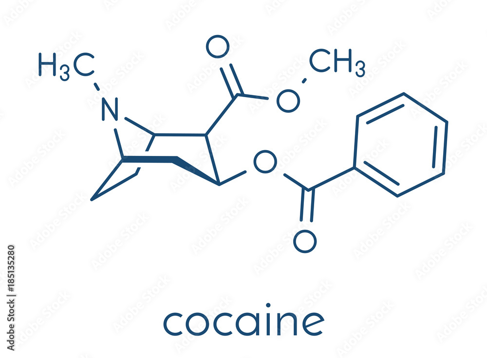 Cocaine stimulant drug molecule. Used as salt or as free base (crack, freebase). Skeletal formula. Cocaine stimulant drug molecule. Used as salt or as free base (crack, freebase). Skeletal formula.