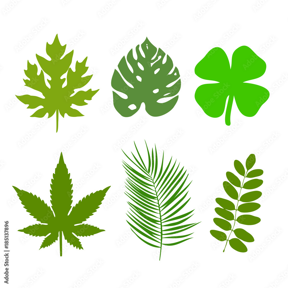 green leaf ecology nature element vector logo. Design shape leaf logo and abstract organic leaf logo. Leaf logo Eco graphic creative template. nature health green logo vector