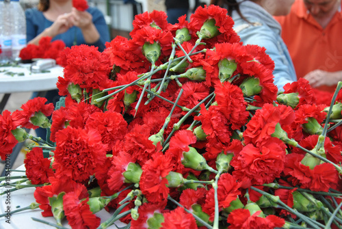 CLAVEL ROJO photo