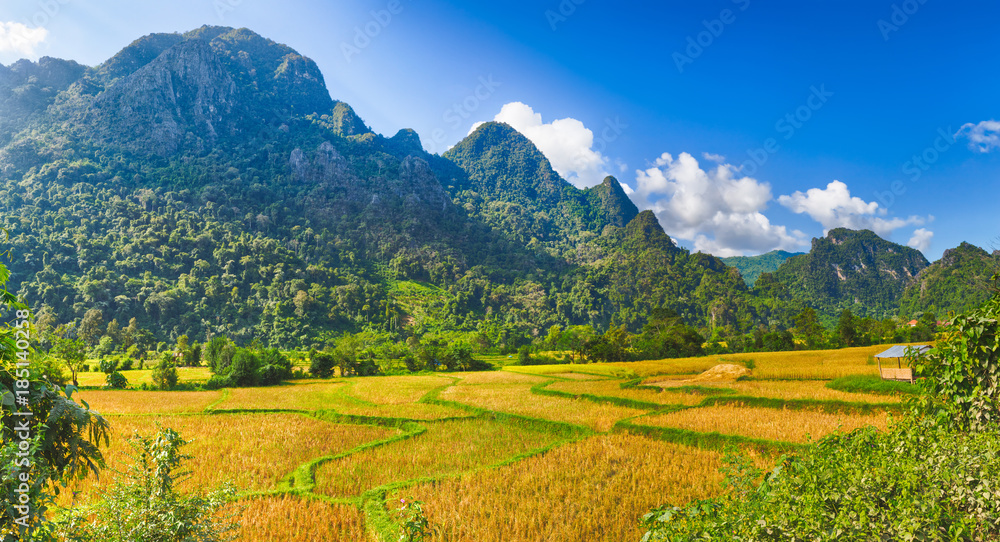  Beautiful rural landscape.Vang Vieng, Laos. Panorama