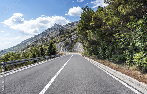 Country road through the rocky mountains and forest.