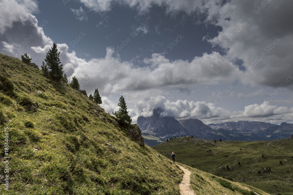 Fototapeta premium Landschaft in Südtirol