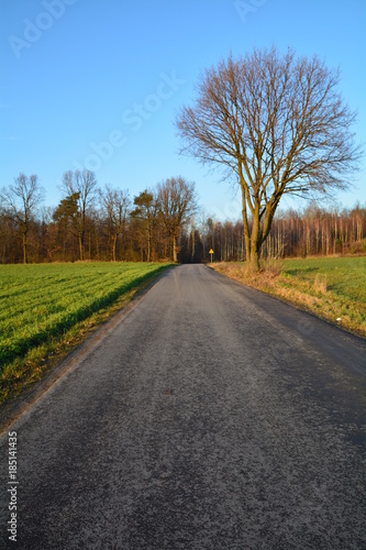 droga przez pola i las  © robert6666