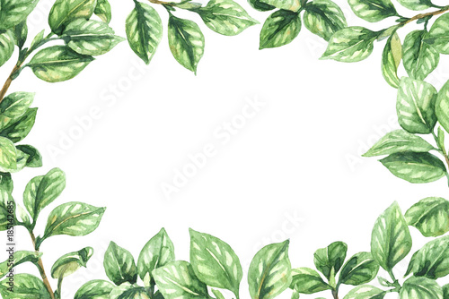 Green Branches Rectangle Frame