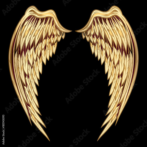 Decorative golden wings