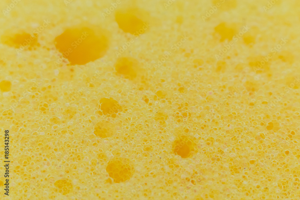 the texture of the sponge the texture of the sponge