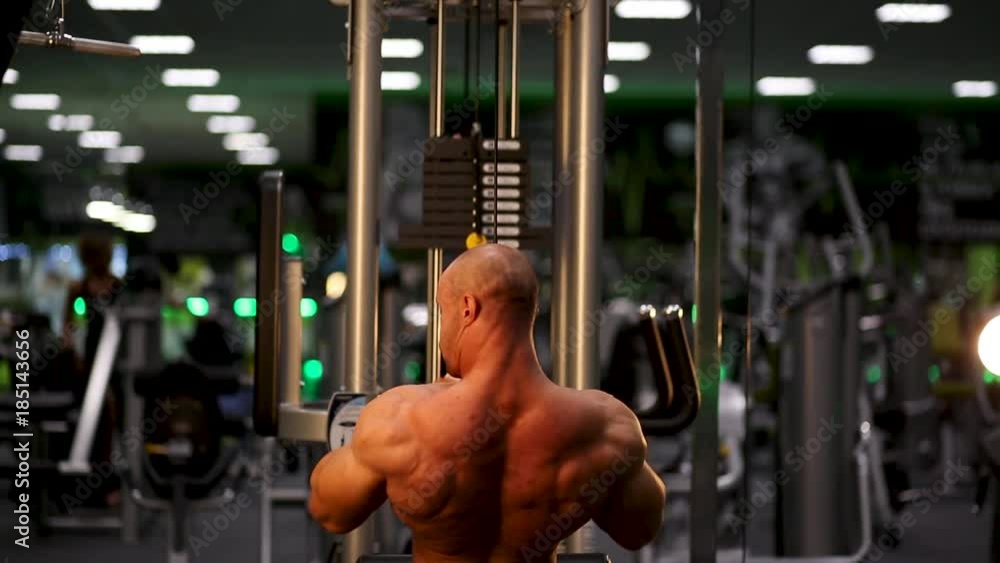 bodybuilder training in gym bodybuilder training in gym