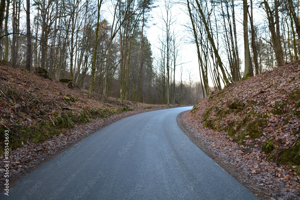 Fototapeta premium droga asfaltowa przez las