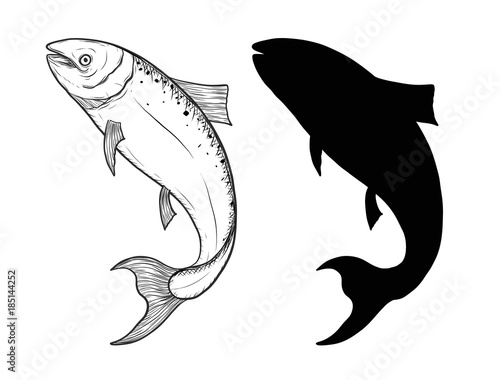 Salmon fish art highly detailed in line art style.Fish vector by hand drawing.Fish tattoo on white background.