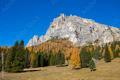 View of Tofane mountains on the background from Falzarego pass in an autumn landscape in Dolomites, Italy. 