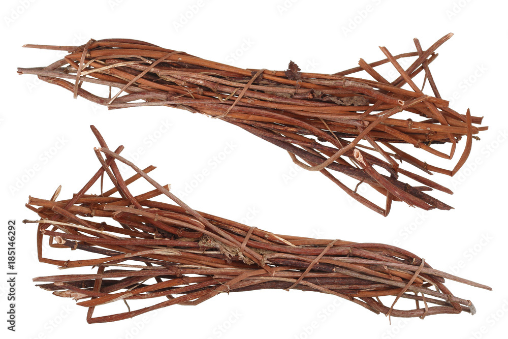 Fototapeta premium A bunch of thin stems of a forest liana is seen from above and from below.