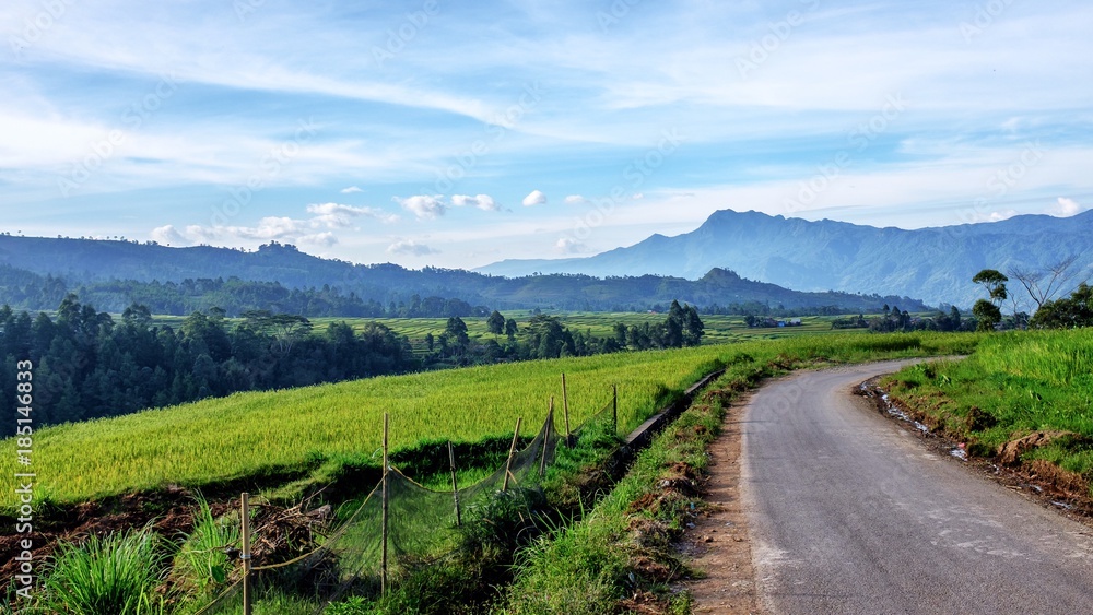 Naklejka premium Risce Field and Mountain 