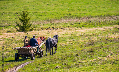 Pylypets, Ukraine - May 01, 2017: traffic in mountainous rural area in summer. wooden cart with two horses and two men ridge uphill the grassy slope