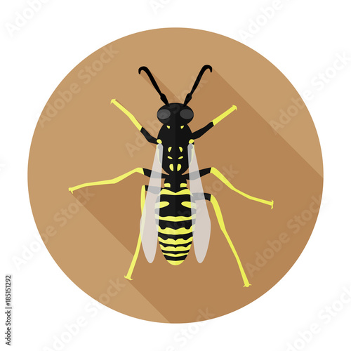 Wasp Icon Flat