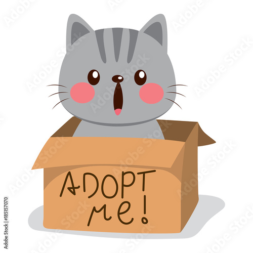 Cute little cat on a cardboard box with adopt me text